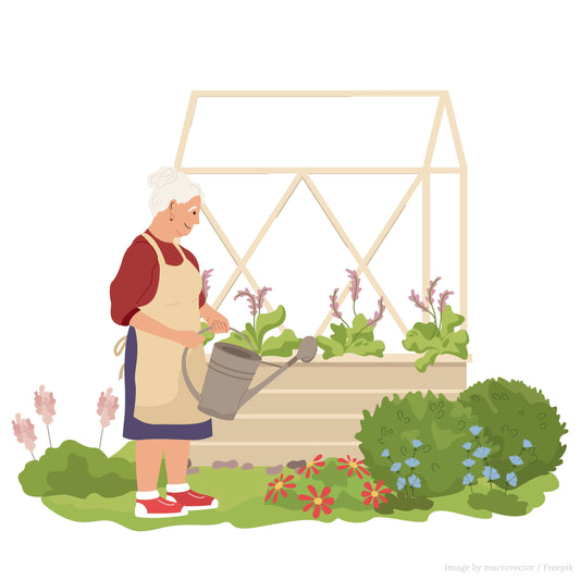 Avantajele straturilor inălțate pentru grădinăritul acasă - Rael Garden