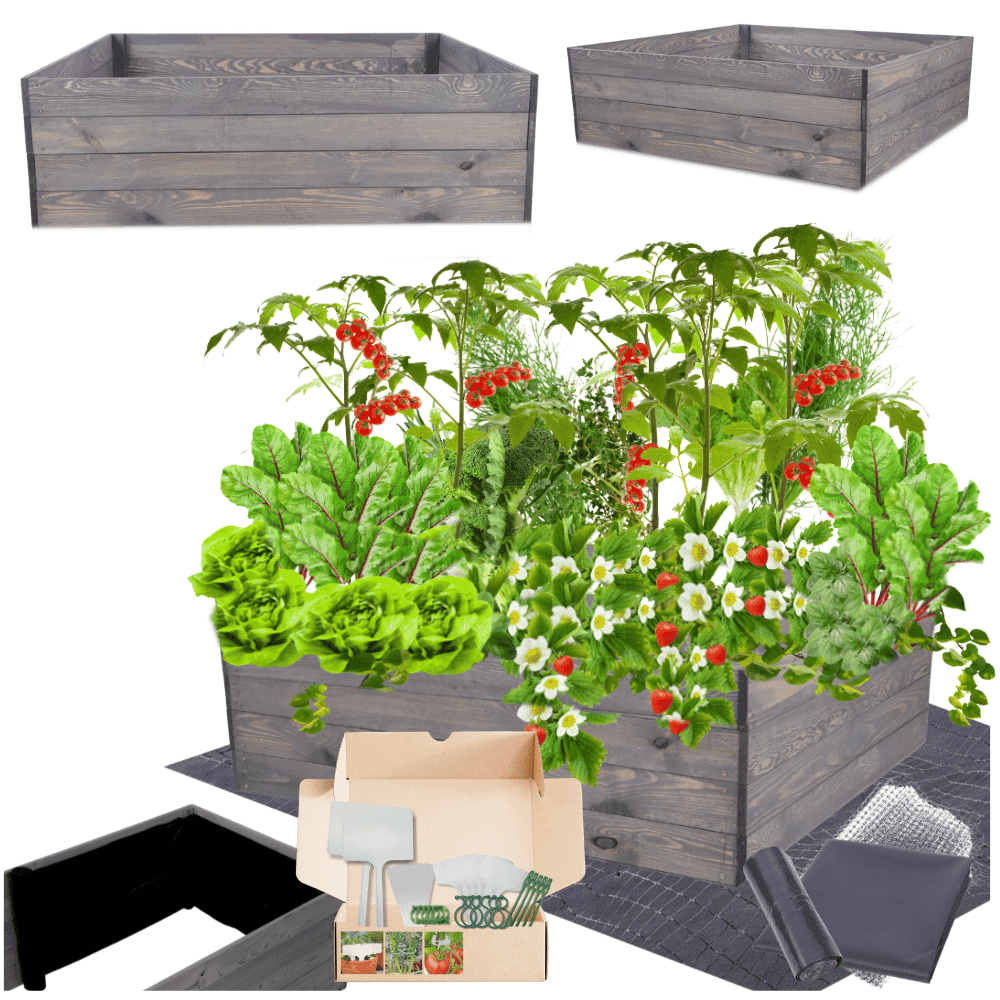 Strat inaltat de gradina - LOTUS H36 - lemn de pin - Rael Garden