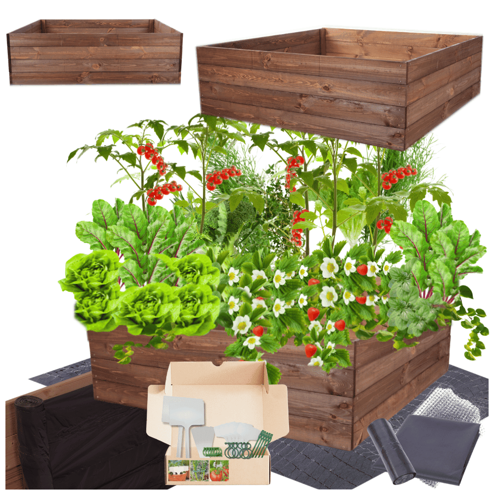 Strat inaltat de gradina - LOTUS H36 - lemn de pin - Rael Garden