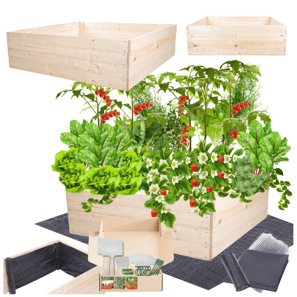 Strat inaltat de gradina - LOTUS H36 - lemn de pin - Rael Garden