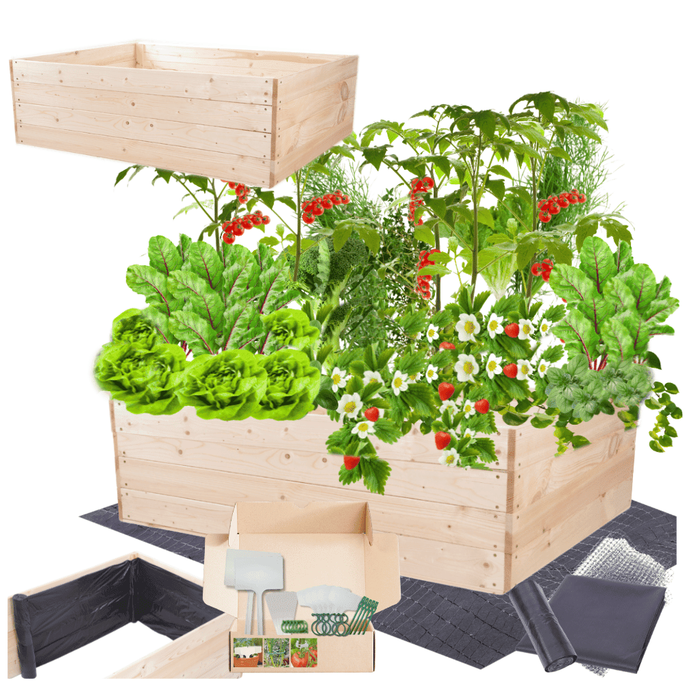 Strat inaltat de gradina - LOTUS H36 - lemn de pin - Rael Garden