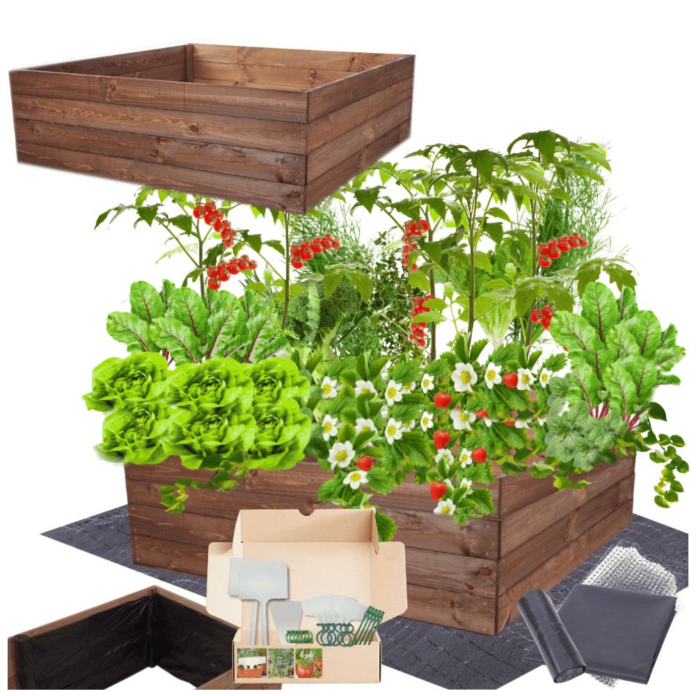 Strat inaltat de gradina - LOTUS H36 - lemn de pin - Rael Garden