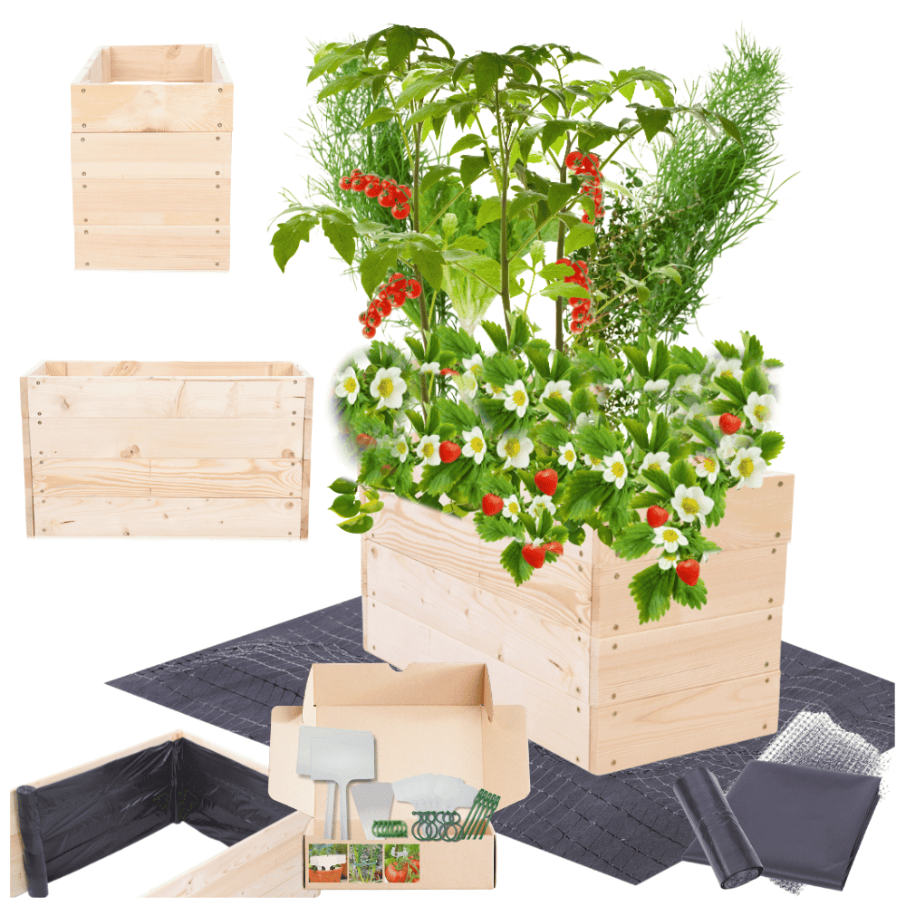 Strat inaltat de gradina - LOTUS H36 - lemn de pin - Rael Garden