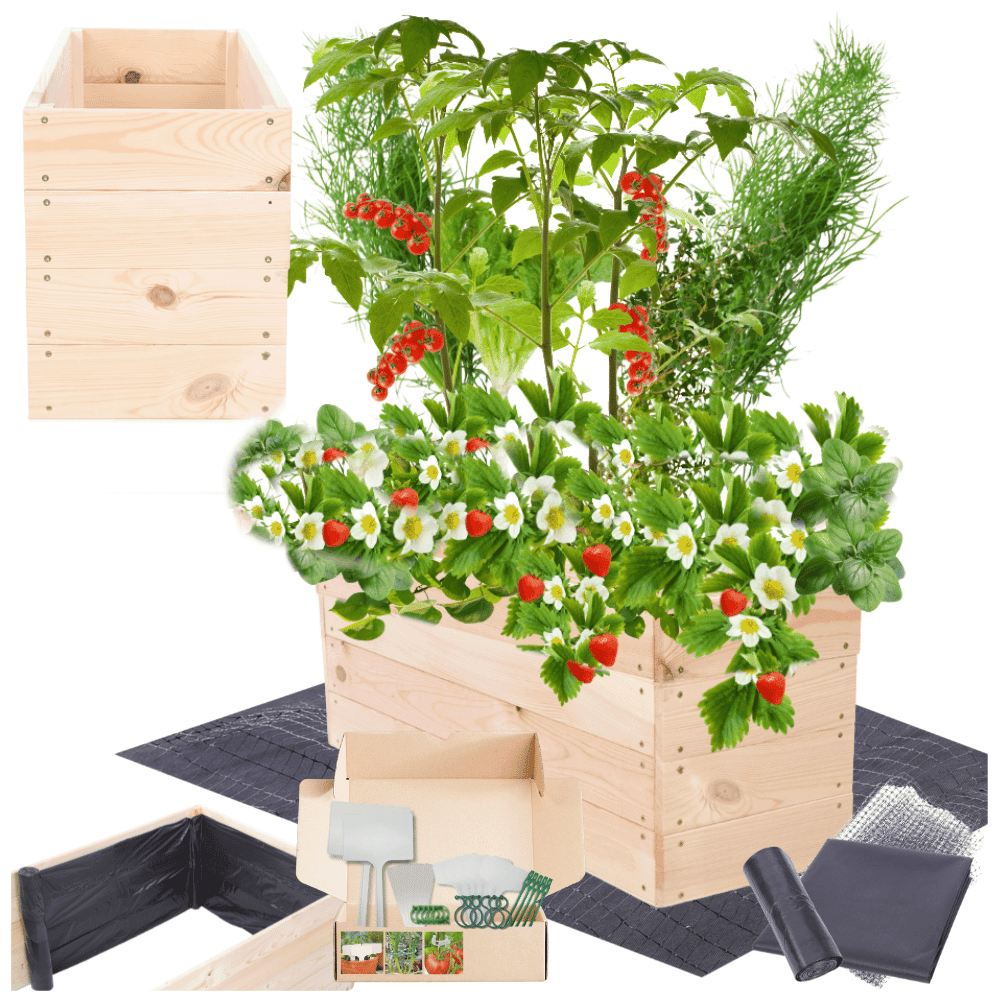 Strat inaltat de gradina - LOTUS H36 - lemn de pin - Rael Garden