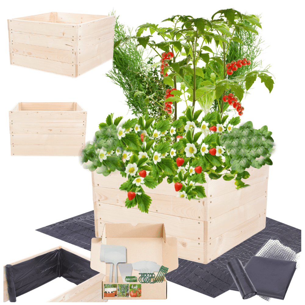 Strat inaltat de gradina - LOTUS H36 - lemn de pin - Rael Garden