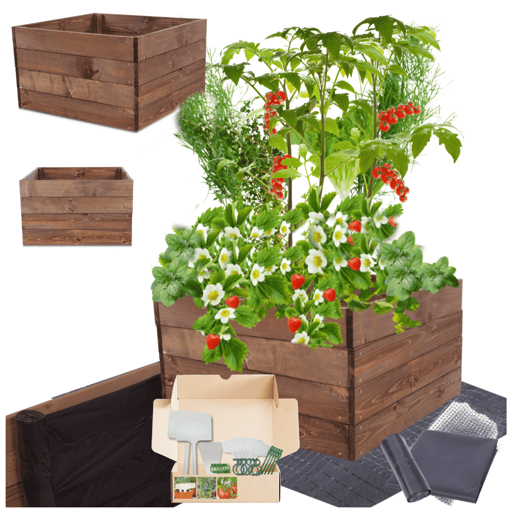 Strat inaltat de gradina - LOTUS H36 - lemn de pin - Rael Garden