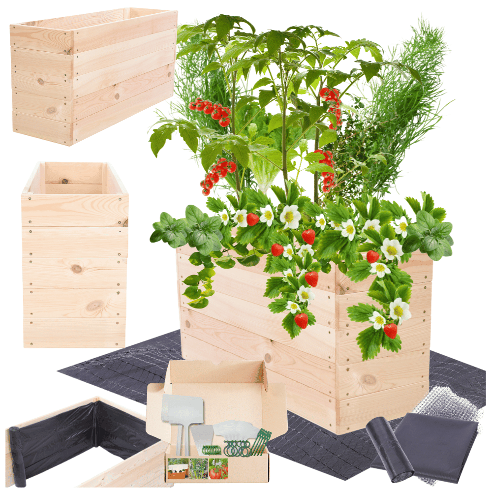 Strat inaltat de gradina - LOTUS H45 - lemn de pin - Rael Garden