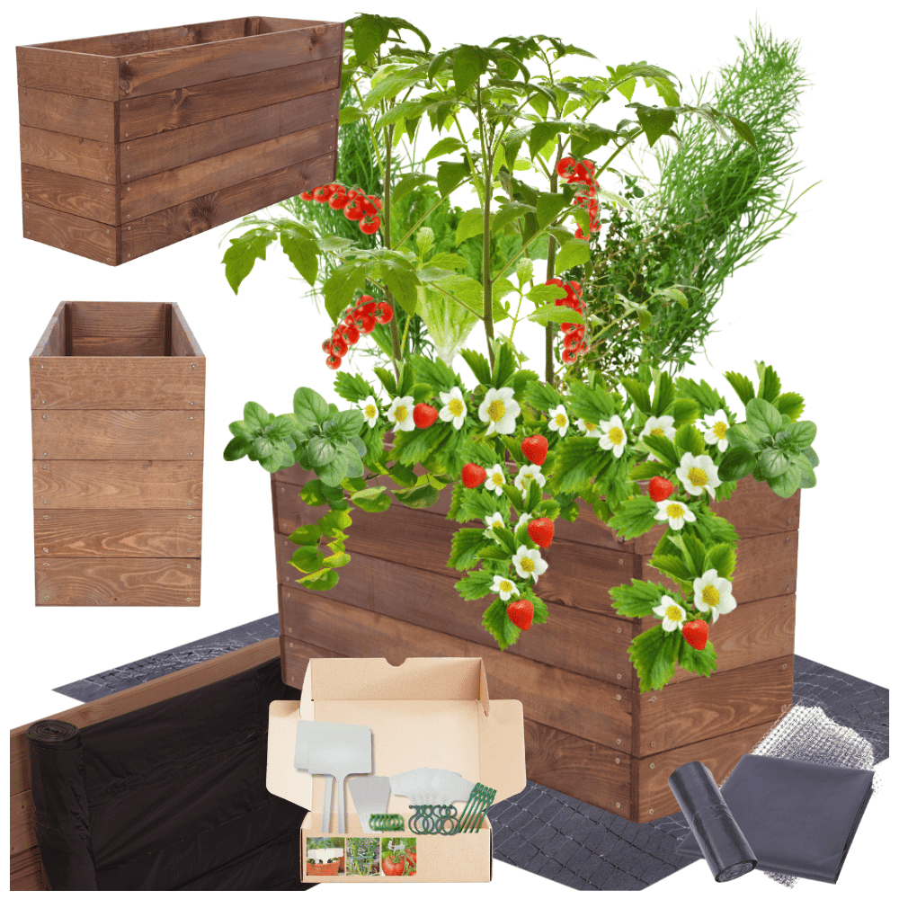 Strat inaltat de gradina - LOTUS H45 - lemn de pin - Rael Garden