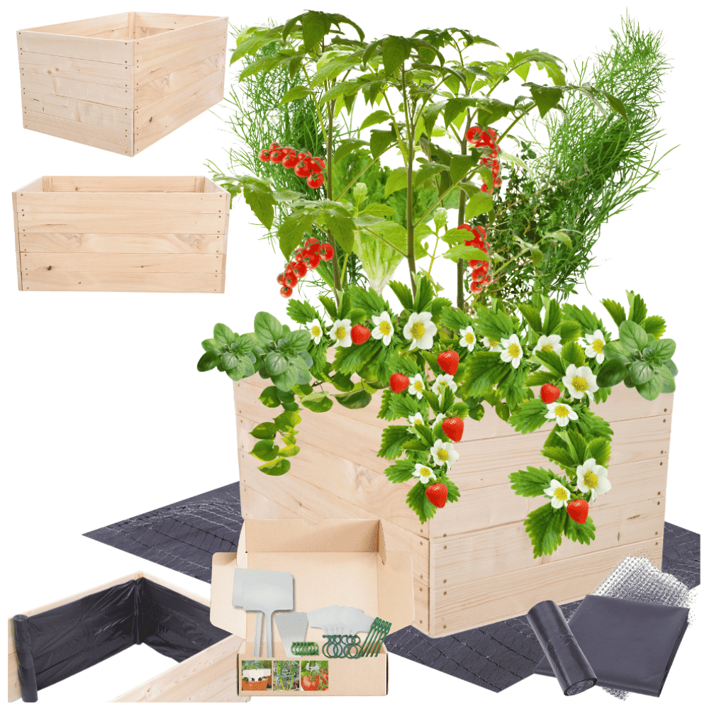 Strat inaltat de gradina - LOTUS H45 - lemn de pin - Rael Garden