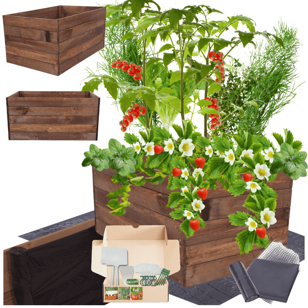 Strat inaltat de gradina - LOTUS H45 - lemn de pin - Rael Garden