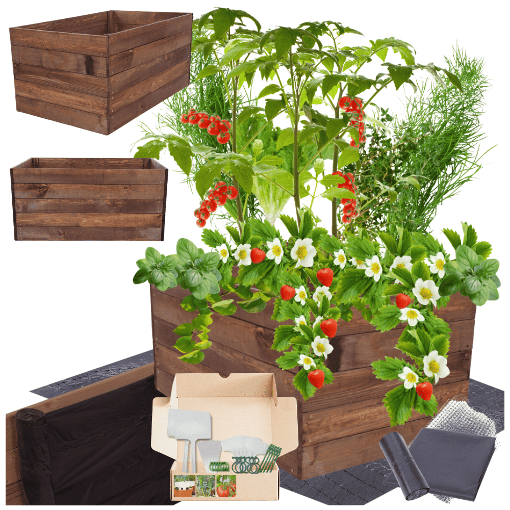 Strat inaltat de gradina - LOTUS H45 - lemn de pin - Rael Garden