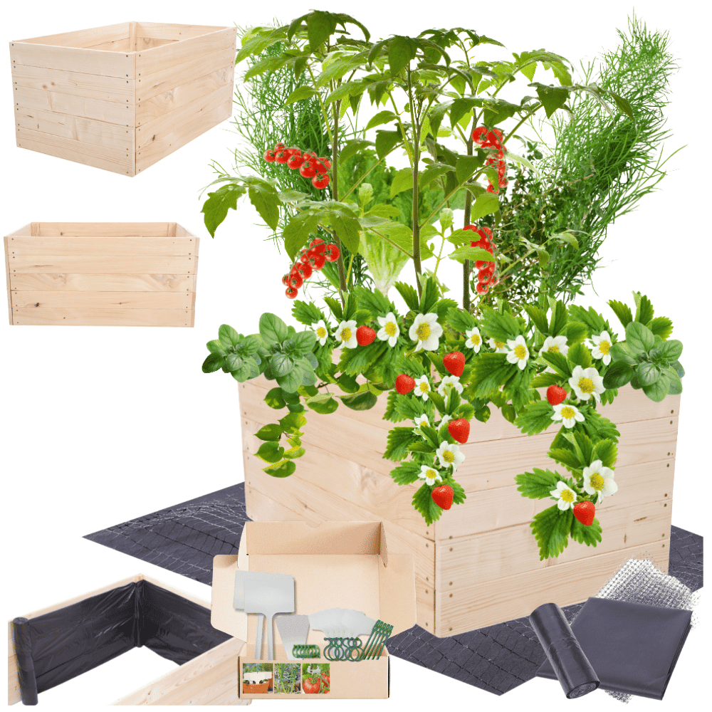 Strat inaltat de gradina - LOTUS H45 - lemn de pin - Rael Garden