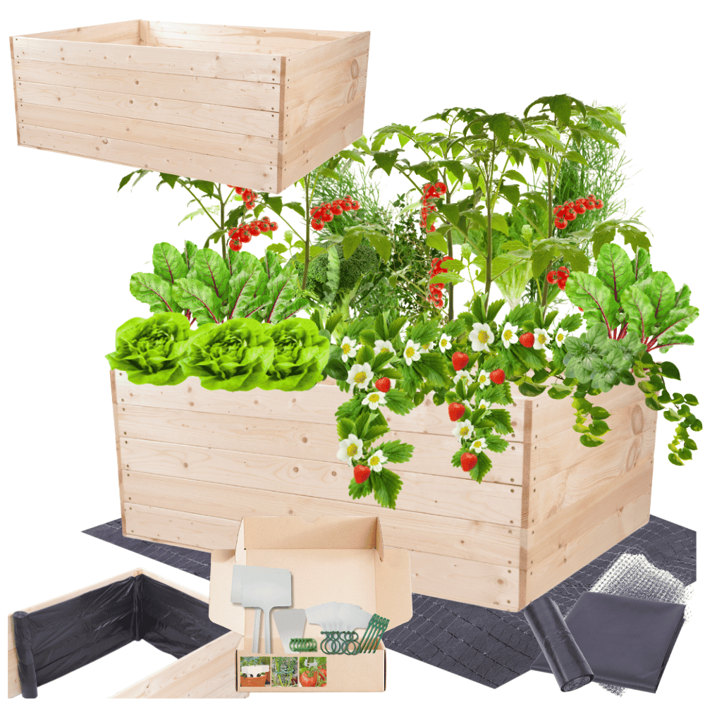 Strat inaltat de gradina - LOTUS H45 - lemn de pin - Rael Garden