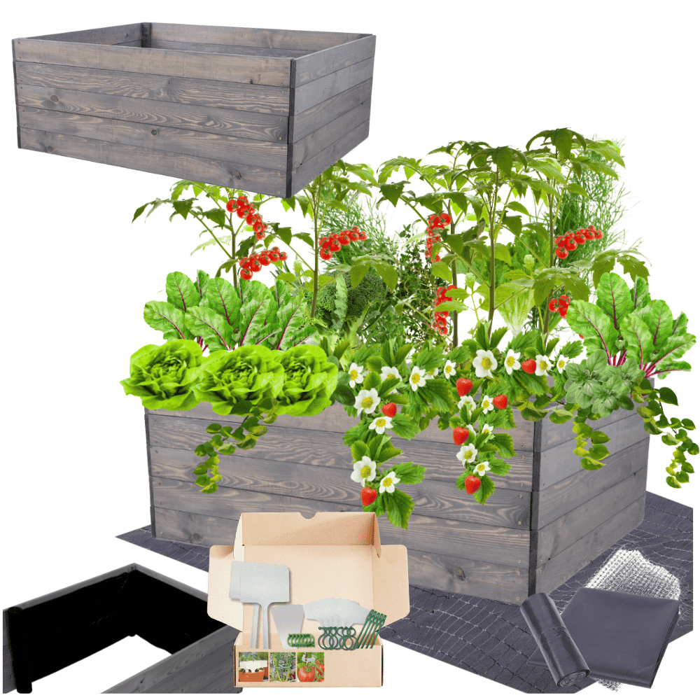 Strat inaltat de gradina - LOTUS H45 - lemn de pin - Rael Garden