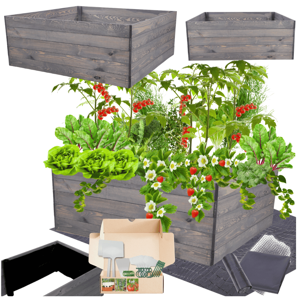 Strat inaltat de gradina - LOTUS H45 - lemn de pin - Rael Garden