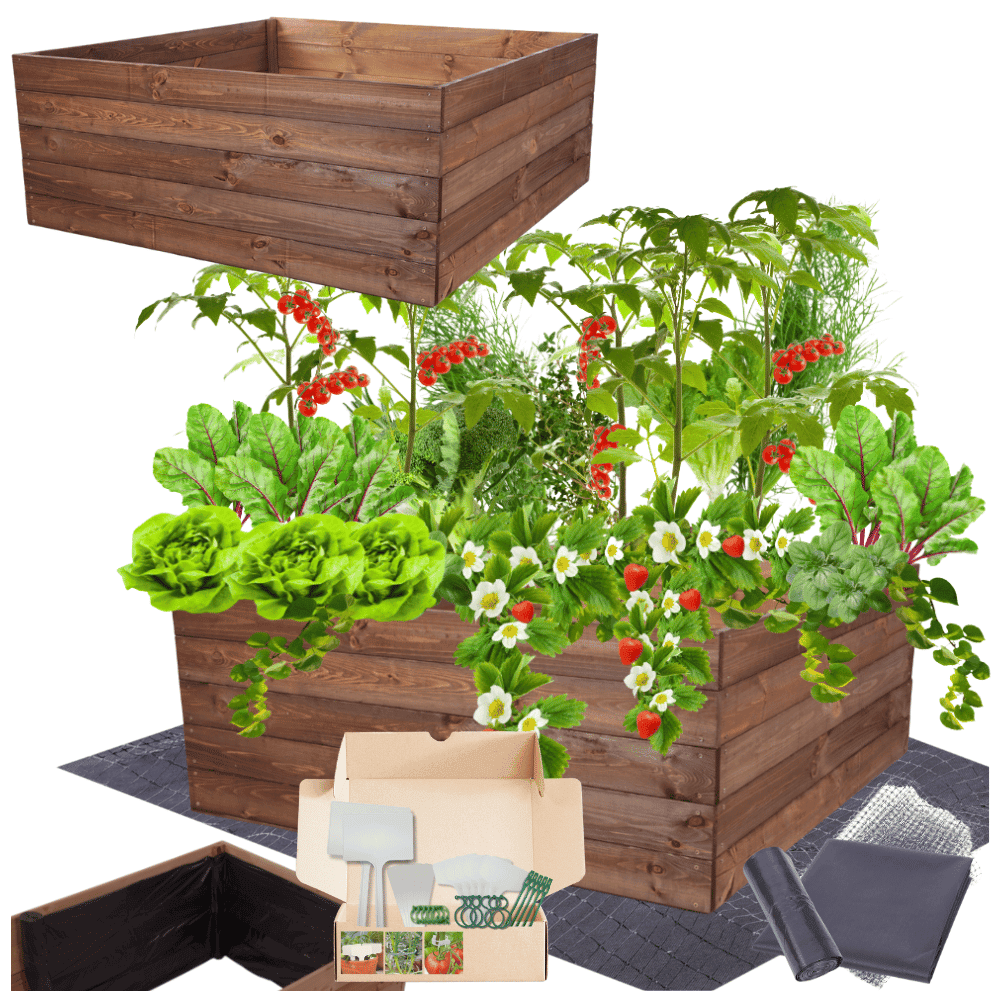 Strat inaltat de gradina - LOTUS H45 - lemn de pin - Rael Garden