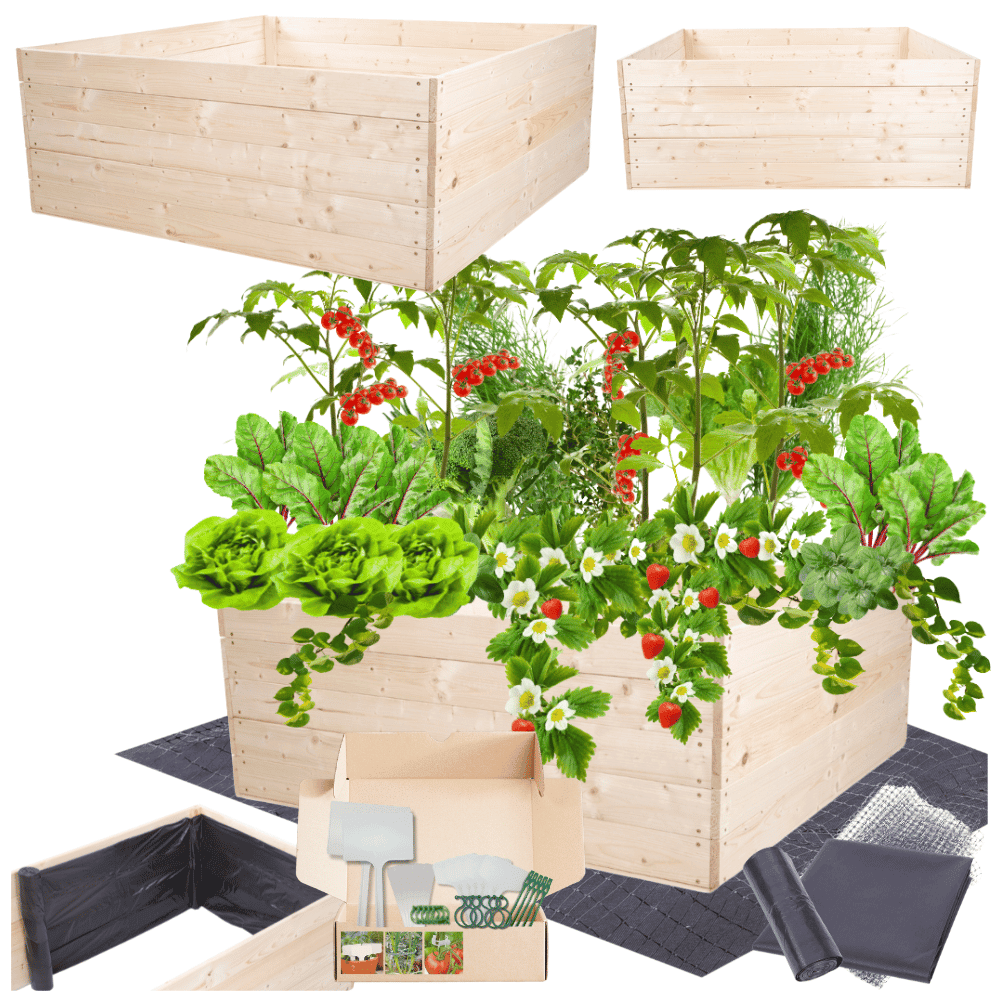 Strat inaltat de gradina - LOTUS H45 - lemn de pin - Rael Garden