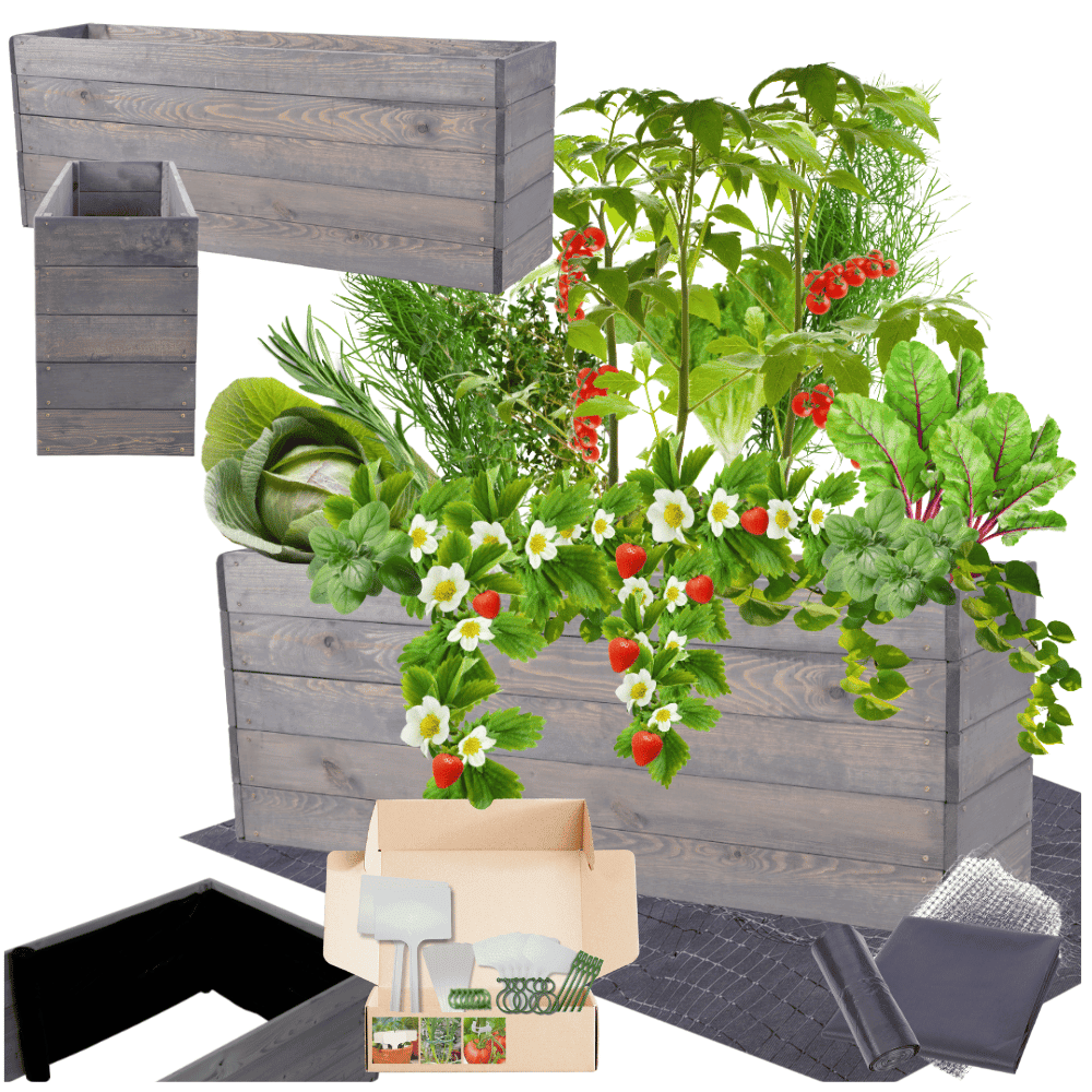 Strat inaltat de gradina - LOTUS H45 - lemn de pin - Rael Garden