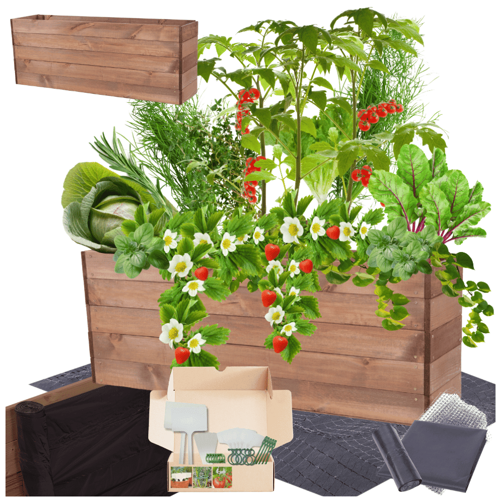 Strat inaltat de gradina - LOTUS H45 - lemn de pin - Rael Garden