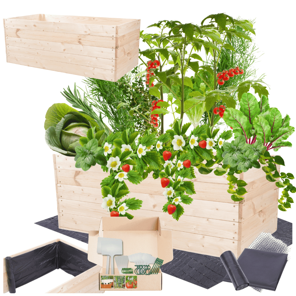 Strat inaltat de gradina - LOTUS H45 - lemn de pin - Rael Garden