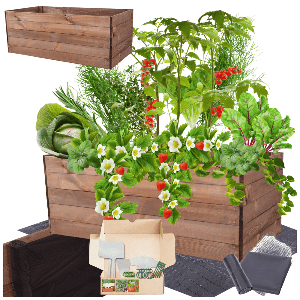 Strat inaltat de gradina - LOTUS H45 - lemn de pin - Rael Garden