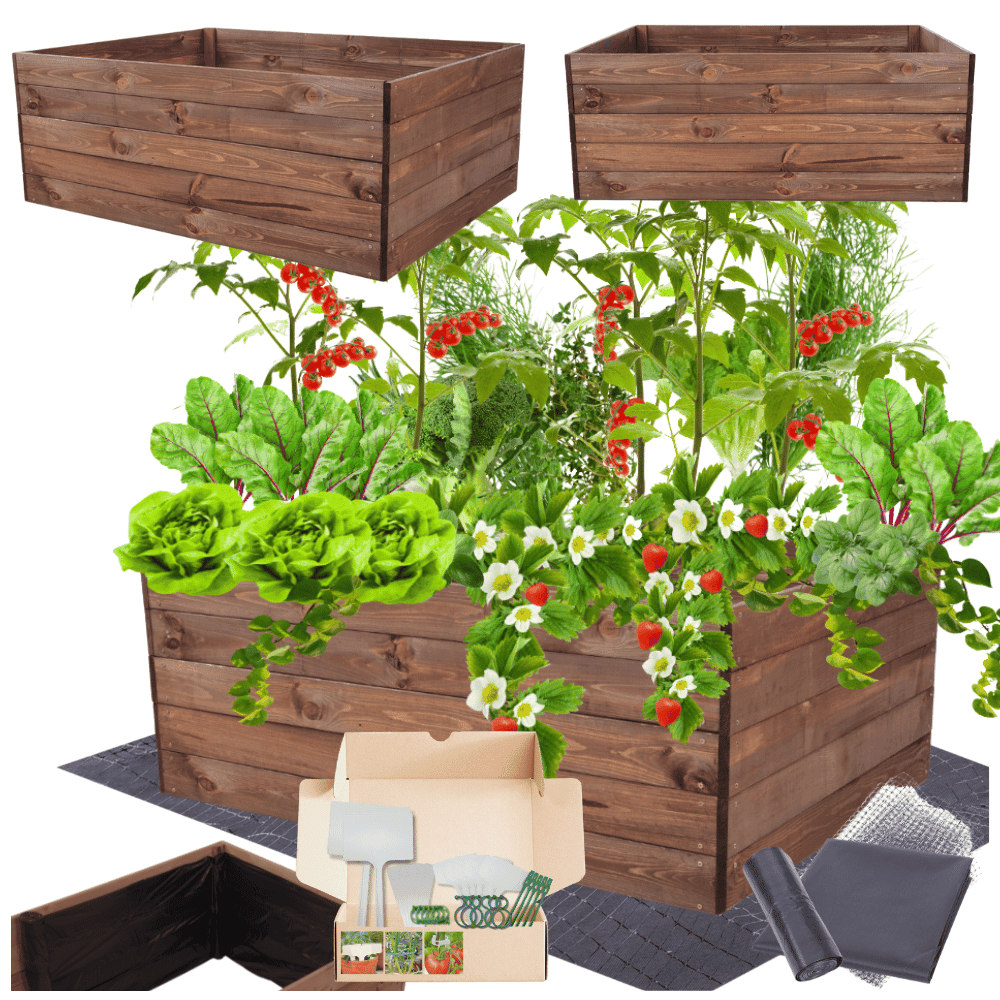 Strat inaltat de gradina - LOTUS H45 - lemn de pin - Rael Garden