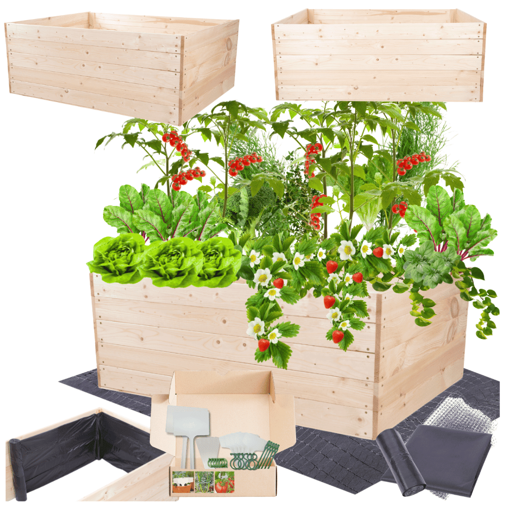 Strat inaltat de gradina - LOTUS H45 - lemn de pin - Rael Garden