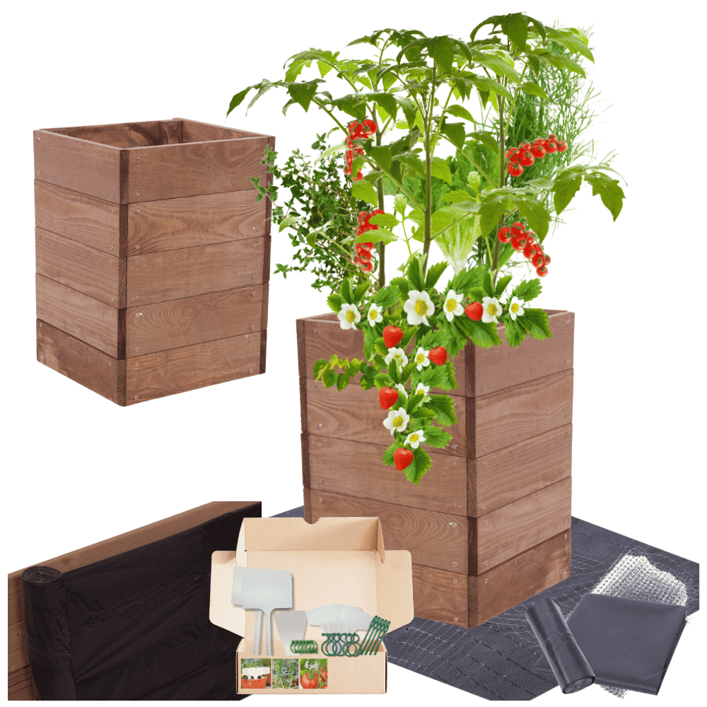 Strat inaltat de gradina - LOTUS H45 - lemn de pin - Rael Garden