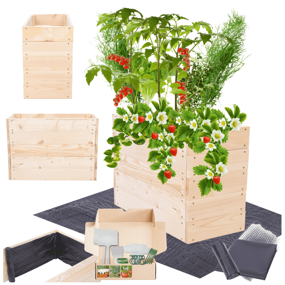 Strat inaltat de gradina - LOTUS H45 - lemn de pin - Rael Garden