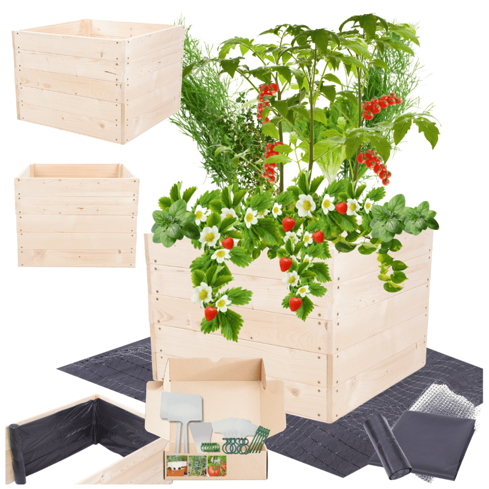 Strat inaltat de gradina - LOTUS H45 - lemn de pin - Rael Garden