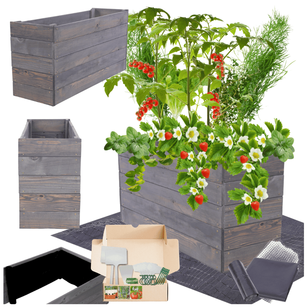 Strat inaltat de gradina - LOTUS H45 - lemn de pin - Rael Garden