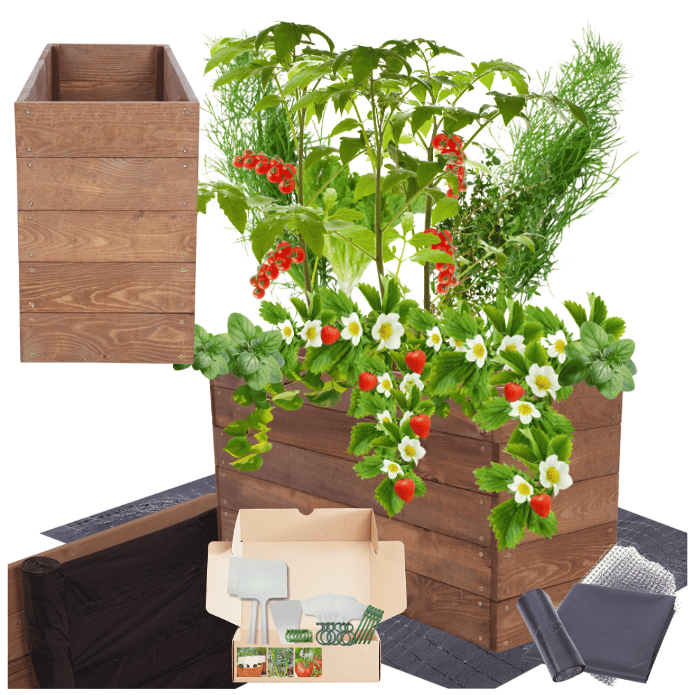 Strat inaltat de gradina - LOTUS H45 - lemn de pin - Rael Garden