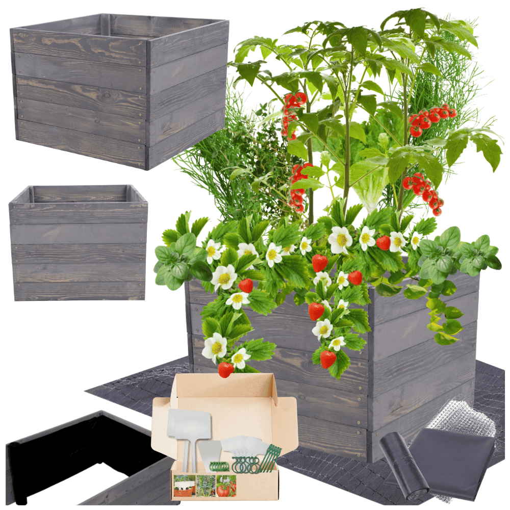 Strat inaltat de gradina - LOTUS H45 - lemn de pin - Rael Garden