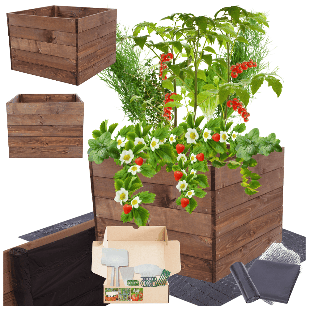 Strat inaltat de gradina - LOTUS H45 - lemn de pin - Rael Garden