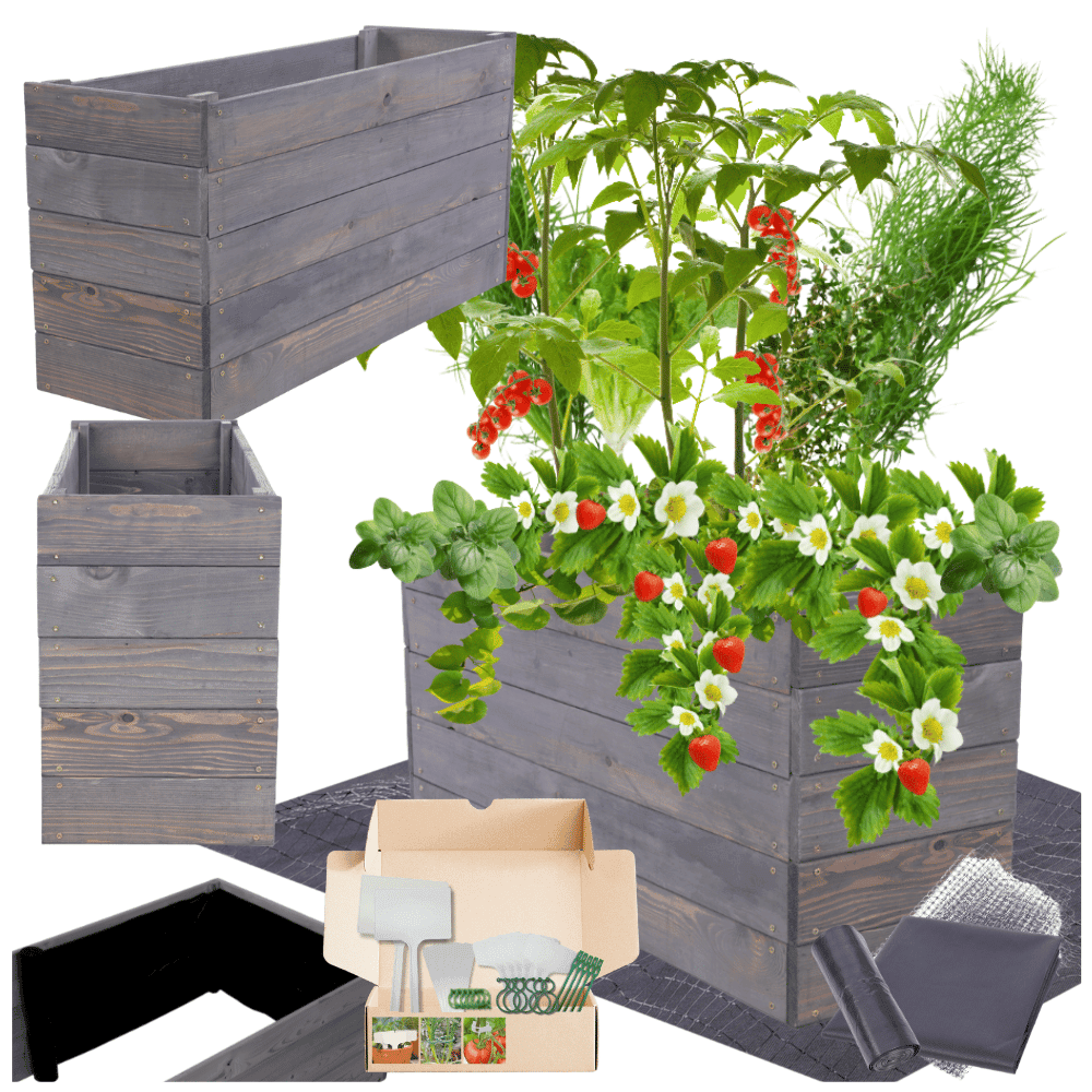 Strat inaltat de gradina - LOTUS H45 - lemn de pin - Rael Garden