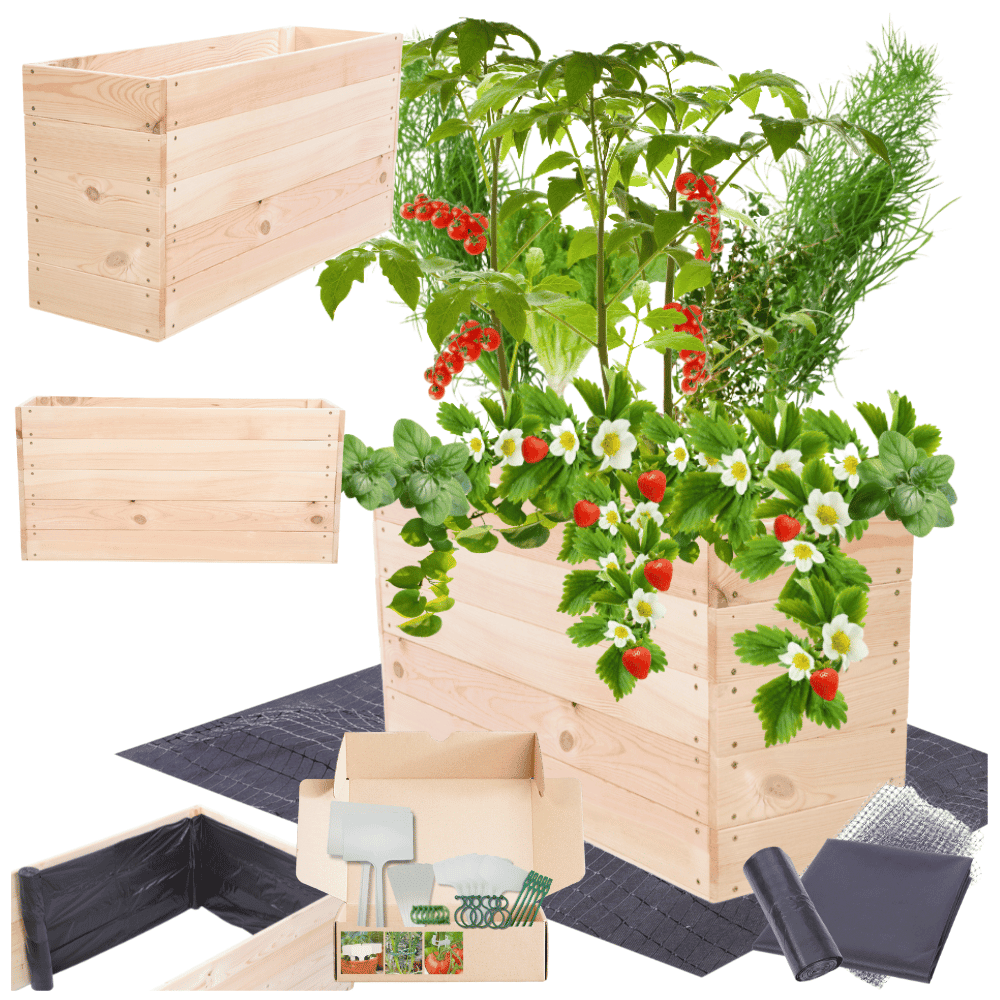 Strat inaltat de gradina - LOTUS H45 - lemn de pin - Rael Garden