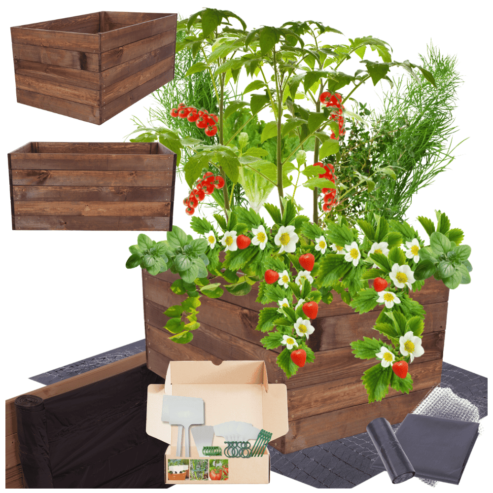 Strat inaltat de gradina - LOTUS H45 - lemn de pin - Rael Garden