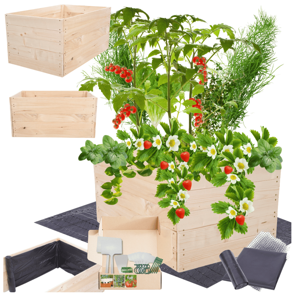 Strat inaltat de gradina - LOTUS H45 - lemn de pin - Rael Garden