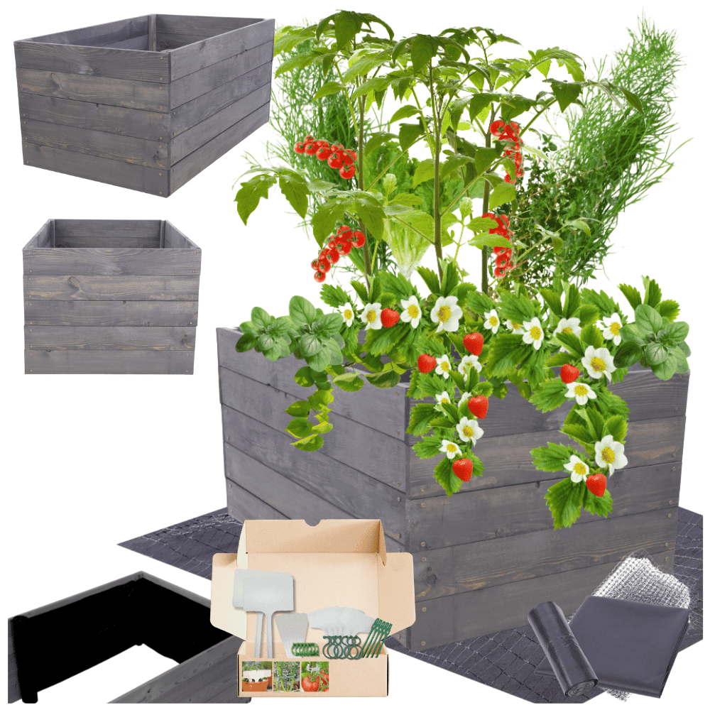 Strat inaltat de gradina - LOTUS H45 - lemn de pin - Rael Garden