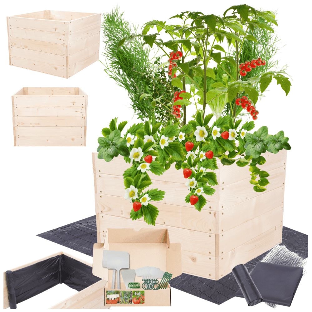 Strat inaltat de gradina - LOTUS H45 - lemn de pin - Rael Garden