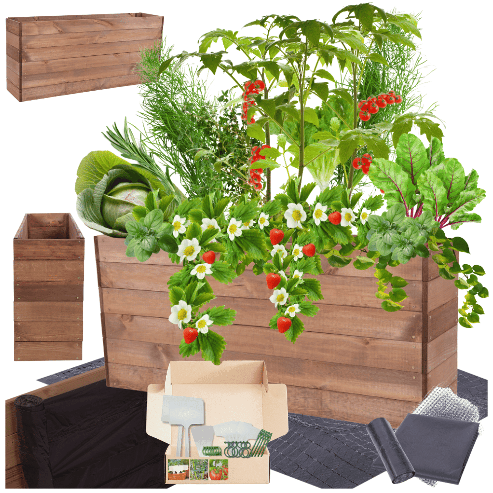 Strat inaltat de gradina - LOTUS H54 - lemn de pin - Rael Garden