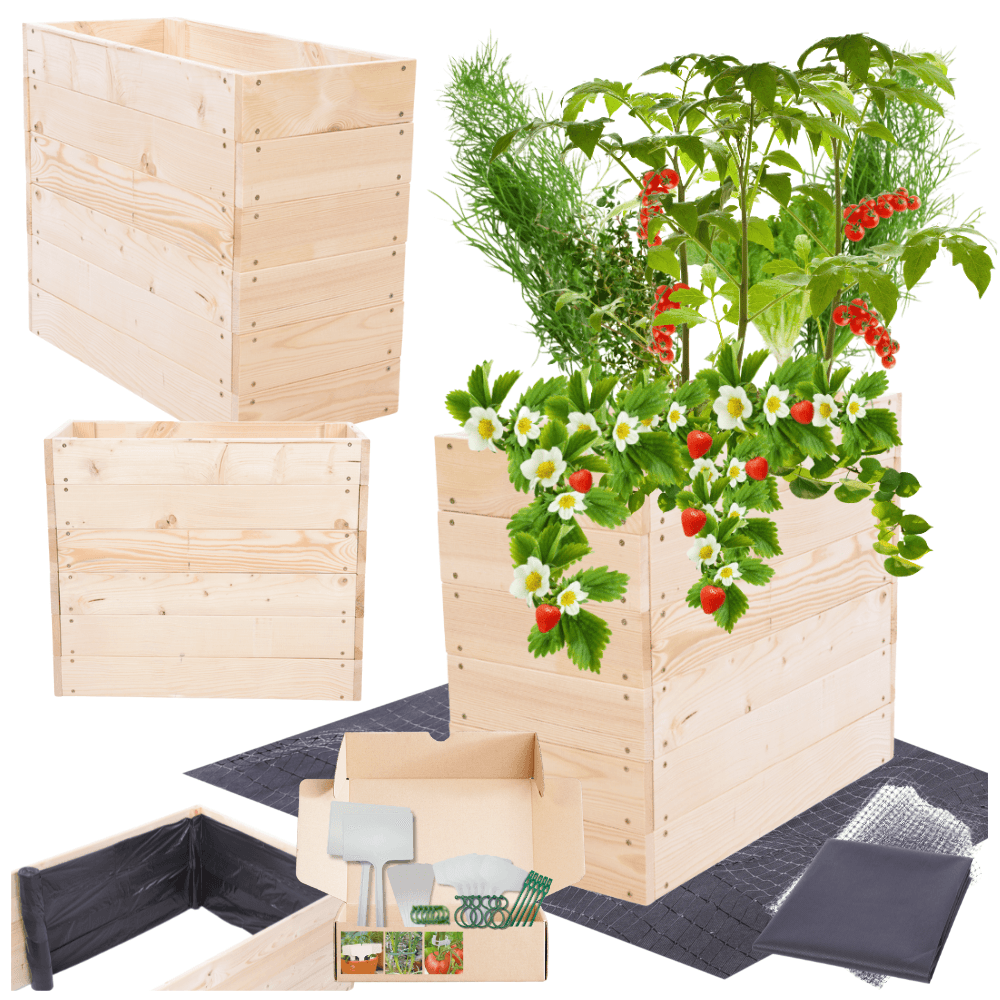 Strat inaltat de gradina - LOTUS H54 - lemn de pin - Rael Garden