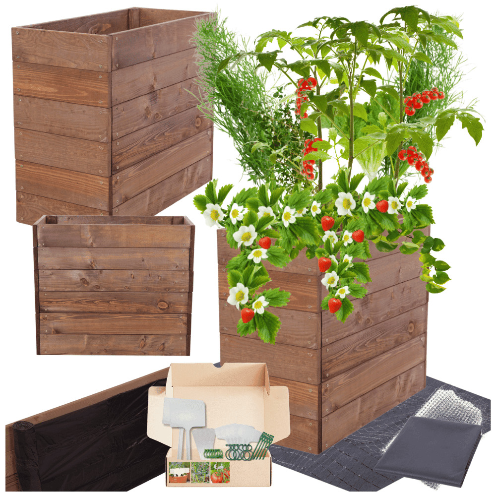 Strat inaltat de gradina - LOTUS H54 - lemn de pin - Rael Garden