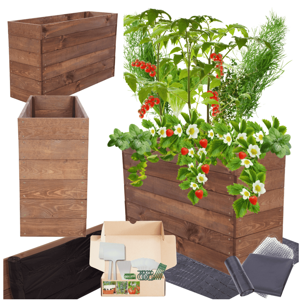 Strat inaltat de gradina - LOTUS H54 - lemn de pin - Rael Garden