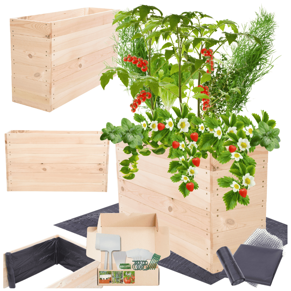 Strat inaltat de gradina - LOTUS H54 - lemn de pin - Rael Garden