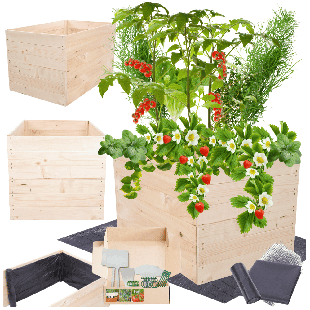 Strat inaltat de gradina - LOTUS H54 - lemn de pin - Rael Garden