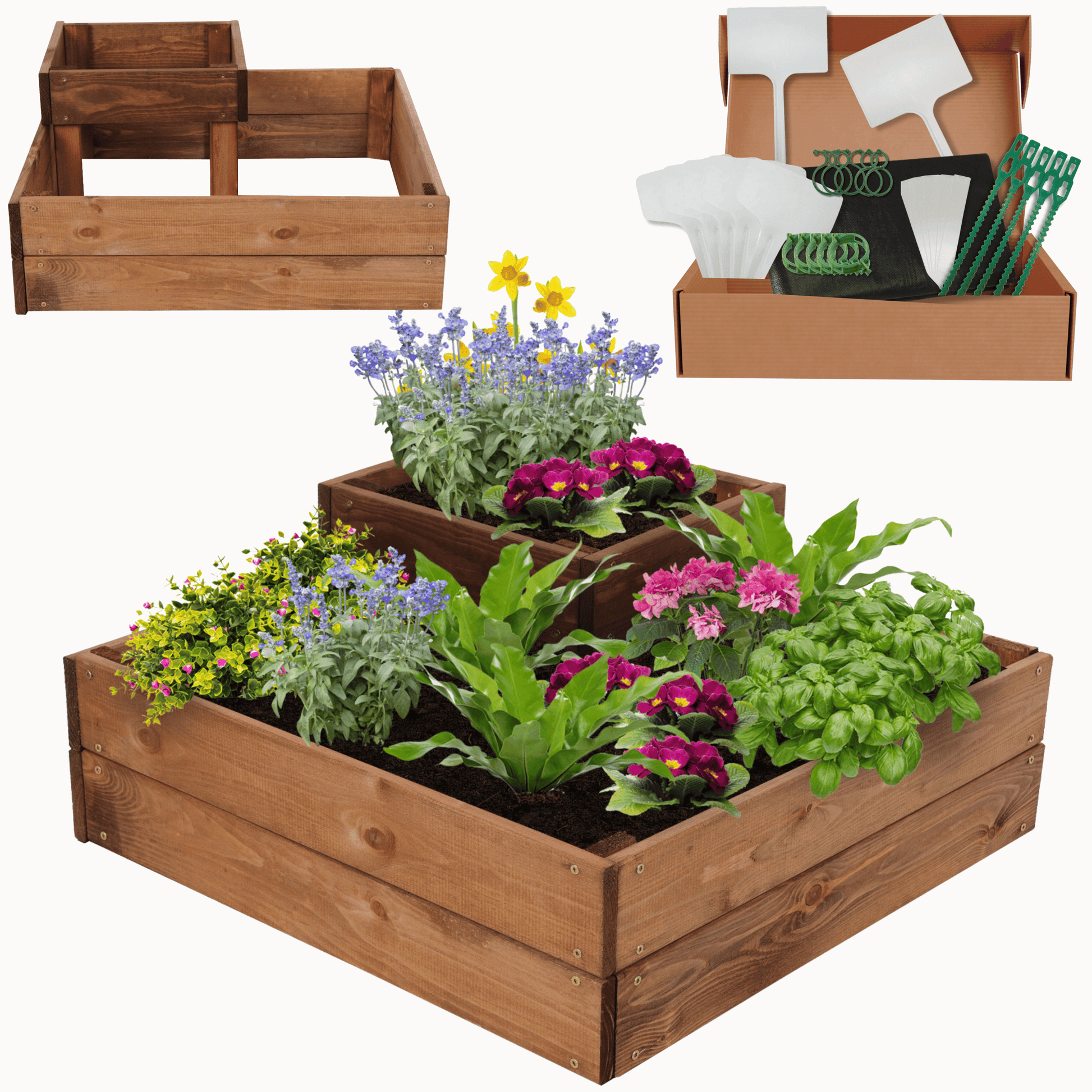 Strat inaltat de gradina - PETAL H27 - lemn de pin - Rael Garden