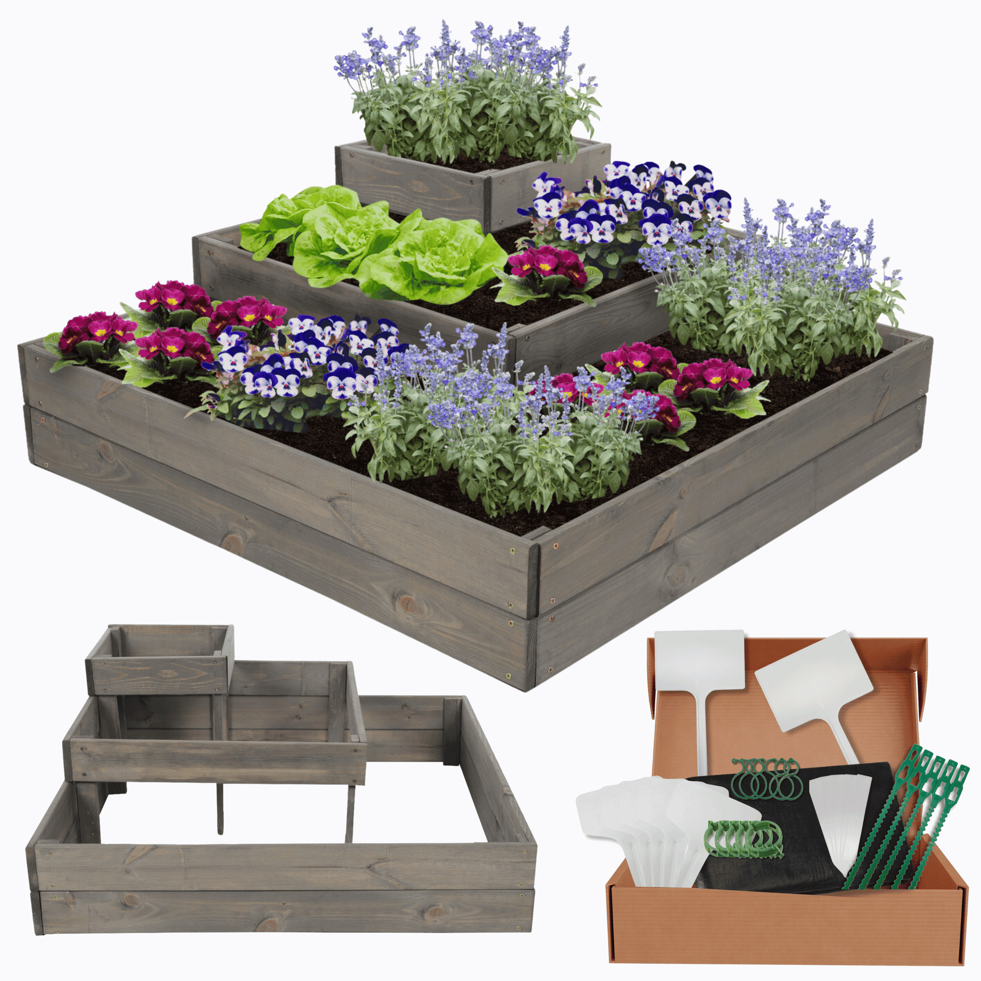 Strat inaltat de gradina - PETAL H36 - lemn de pin - Rael Garden