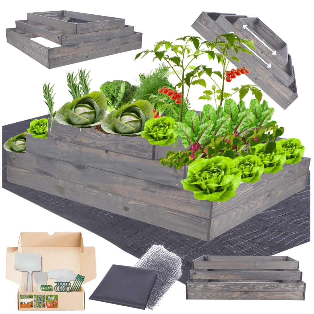 Strat inaltat de gradina - TULIP H36 - lemn de pin - Rael Garden