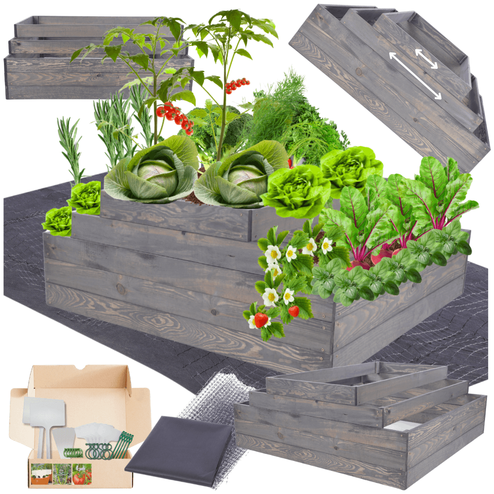 Strat inaltat de gradina - TULIP H45 - lemn de pin - Rael Garden